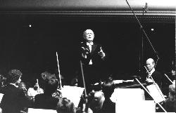 Fotografia z 1980 roku